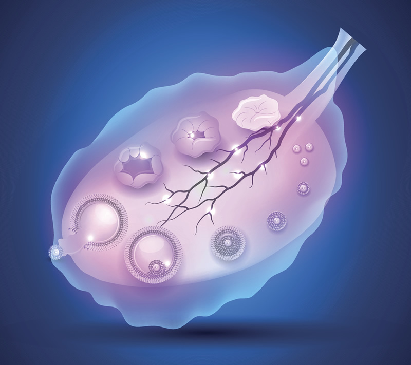长沙子宫内膜薄试管医院排行榜前十名及项目价格表：中信湘雅、湘雅医院等实力机构详解，附内膜调理方案指南